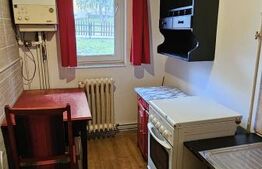 Garsonieră la parter, ideală pentru locuință sau afacere – zona Simeria