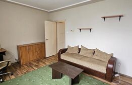 Garsonieră la parter, ideală pentru locuință sau afacere – zona Simeria