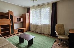 Garsonieră la parter, ideală pentru locuință sau afacere – zona Simeria