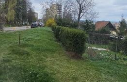 Garsonieră la parter, ideală pentru locuință sau afacere – zona Simeria