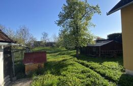 două case, de vanzare, pe un teren generos de 900 mp, zona Lunca Oltului