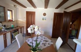 două case, de vanzare, pe un teren generos de 900 mp, zona Lunca Oltului