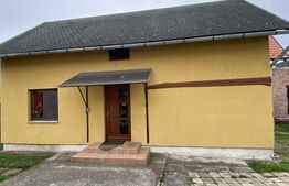 două case, de vanzare, pe un teren generos de 900 mp, zona Lunca Oltului