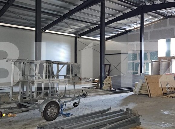 Spațiu industrial de vânzare Ozun - 169366SVI | BLITZ Sfântu Gheorghe | Poza4