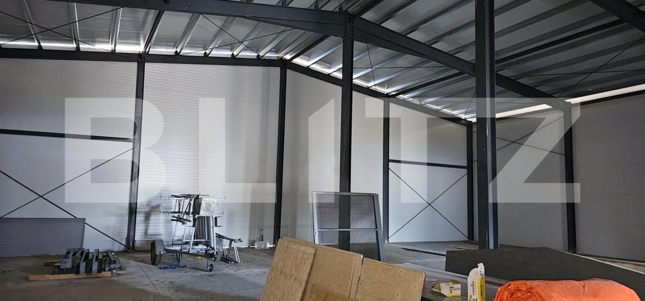 Spațiu industrial de vânzare Ozun - 169366SVI | BLITZ Sfântu Gheorghe | Poza3