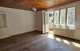 Casa cu 2 apartamente de 3 camere in centru