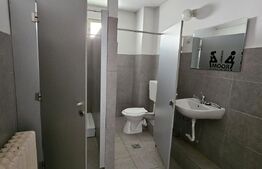 Casa cu 2 apartamente de 3 camere in centru