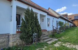 Casă tradițională secuiască de vânzare – Valea Crișului, aproape de Sf.Gheorghe 