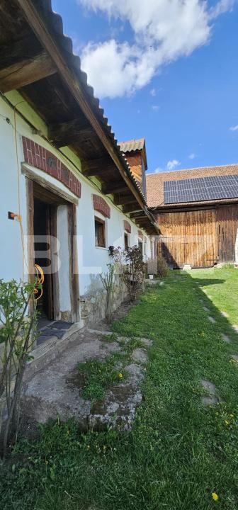 Casa de vânzare 3 camere Valea Crisului - 169804CV | BLITZ Sfântu Gheorghe | Poza6