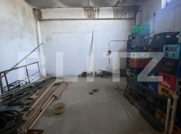 Spațiu industrial de închiriat Semicentral - 169867SII | BLITZ Sfântu Gheorghe | Poza24