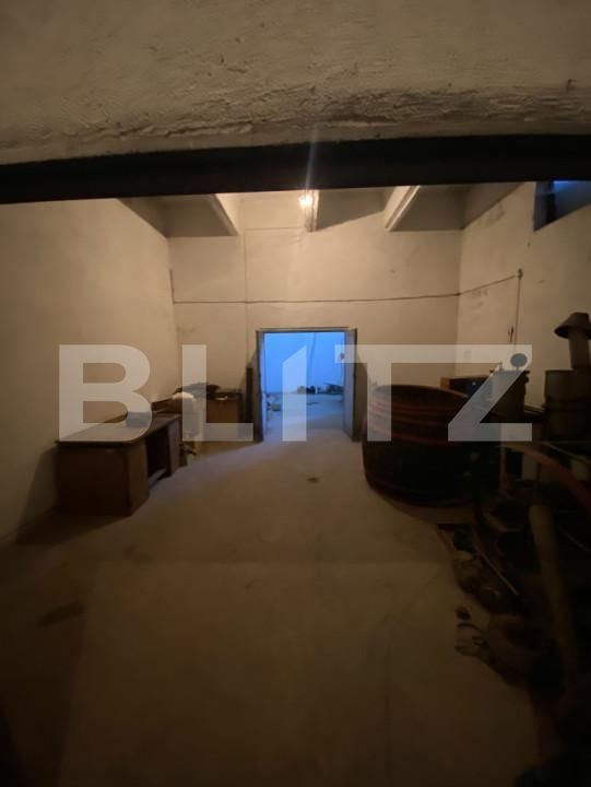 Spațiu industrial de închiriat Semicentral - 169867SII | BLITZ Sfântu Gheorghe | Poza25