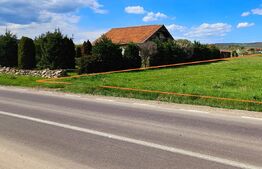 Teren intravilan 2.100 mp – Valea Crișului, la intrare în localitate 