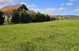 Teren intravilan 2.100 mp – Valea Crișului, la intrare în localitate 