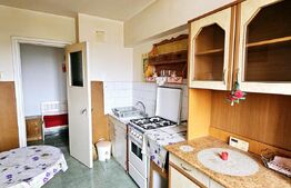 Apartament de vanzare, cu 2 camere, 50 mp, zona ultracentrala