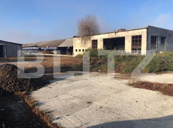 Spațiu industrial de vânzare Araci - 170250SVI | BLITZ Sfântu Gheorghe | Poza4