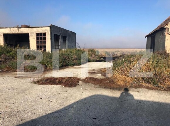 Spațiu industrial de vânzare Araci - 170250SVI | BLITZ Sfântu Gheorghe | Poza5