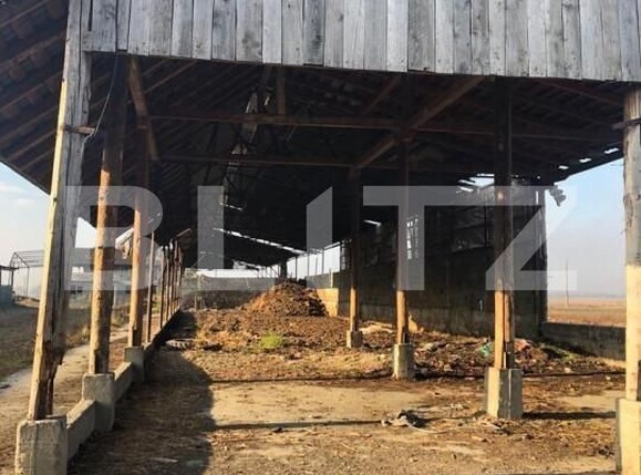 Spațiu industrial de vânzare Araci - 170250SVI | BLITZ Sfântu Gheorghe | Poza8