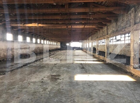 Spațiu industrial de vânzare Araci - 170250SVI | BLITZ Sfântu Gheorghe | Poza1