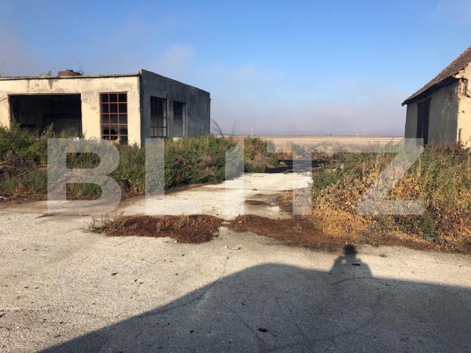 Spațiu industrial de vânzare Araci - 170250SVI | BLITZ Sfântu Gheorghe | Poza5