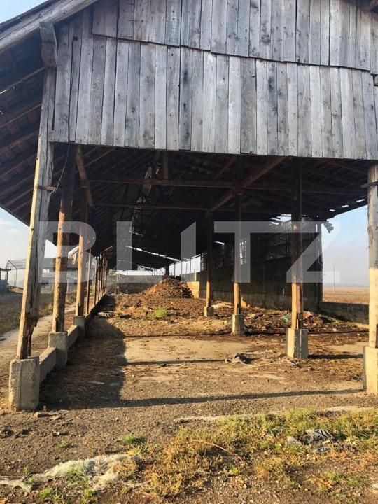 Spațiu industrial de vânzare Araci - 170250SVI | BLITZ Sfântu Gheorghe | Poza8