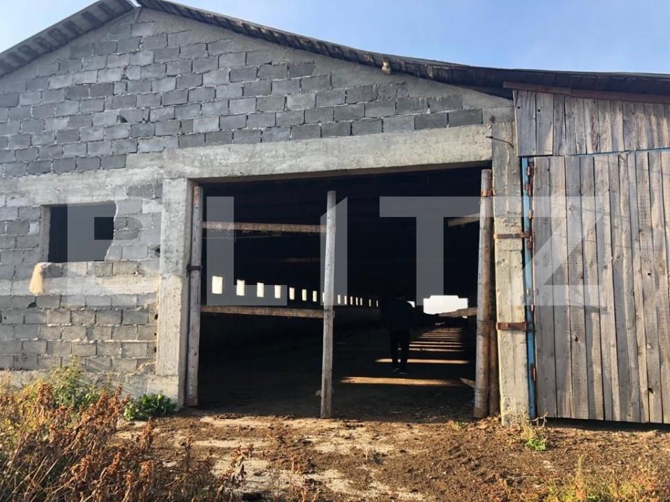 Spațiu industrial de vânzare Araci - 170250SVI | BLITZ Sfântu Gheorghe | Poza2