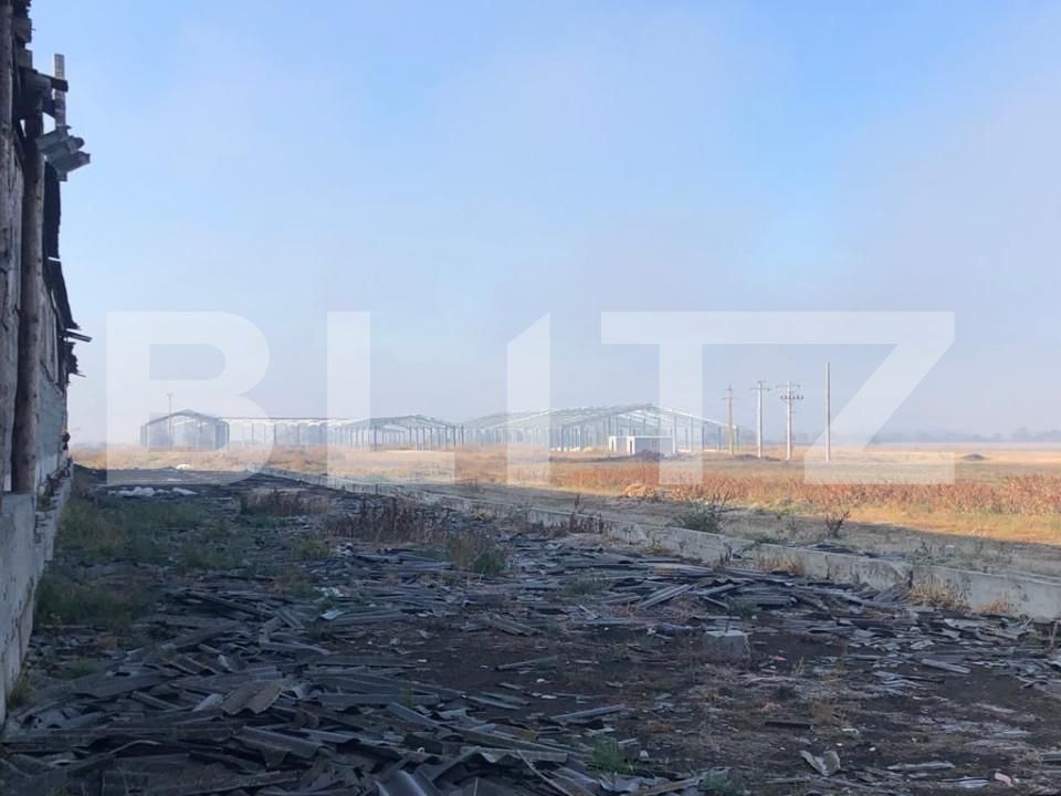 Spațiu industrial de vânzare Araci - 170250SVI | BLITZ Sfântu Gheorghe | Poza9