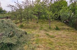 Casă tradițională din lemn, cu teren de 600 mp. - Bodoc 