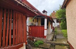 Casă tradițională din lemn, cu teren de 600 mp. - Bodoc 