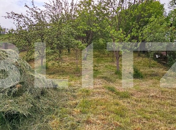 Casa de vânzare 3 camere Bodoc - 170444CV | BLITZ Sfântu Gheorghe | Poza8