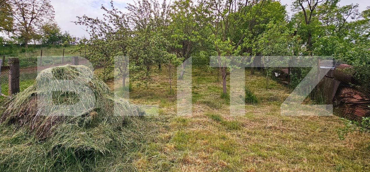 Casa de vânzare 3 camere Bodoc - 170444CV | BLITZ Sfântu Gheorghe | Poza8