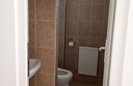 spatiu comerical, de inchiriat, 375 mp, zona Casa indiv