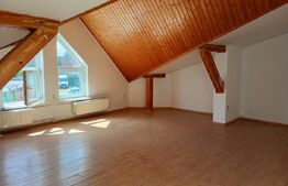 spatiu comerical, de inchiriat, 375 mp, zona Casa indiv