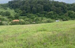 Teren cu potențial – 1000 mp pe Dealul Partizanilor