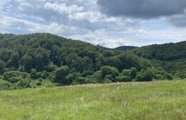 Teren cu potențial – 1000 mp pe Dealul Partizanilor