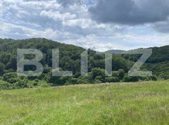 Teren de vânzare Simeria - 171301TV | BLITZ Sfântu Gheorghe | Poza3