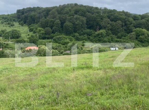 Teren de vânzare Simeria - 171301TV | BLITZ Sfântu Gheorghe | Poza2