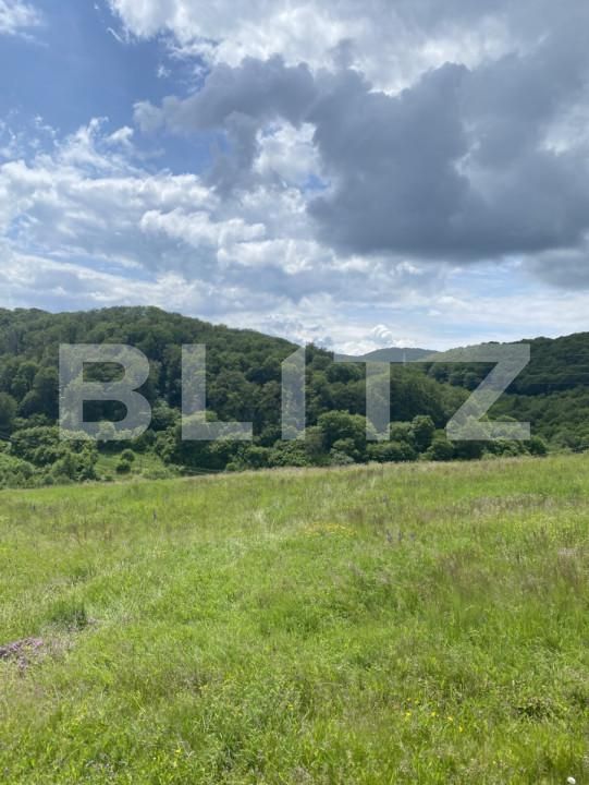 Teren de vânzare Simeria - 171301TV | BLITZ Sfântu Gheorghe | Poza3