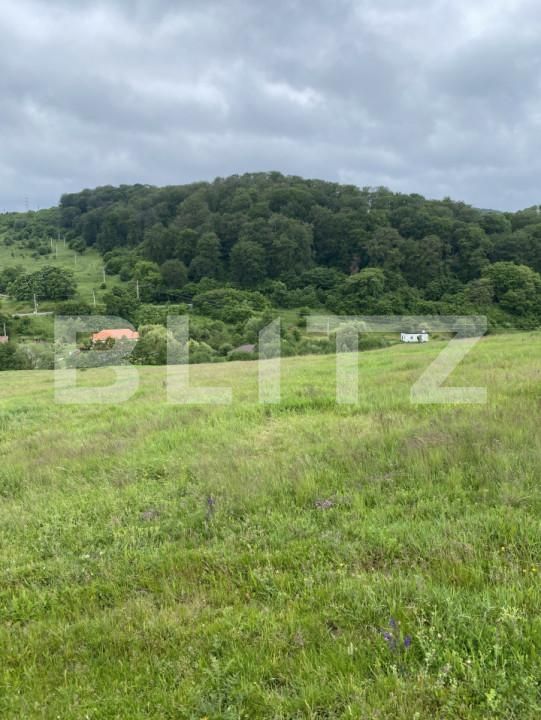 Teren de vânzare Simeria - 171301TV | BLITZ Sfântu Gheorghe | Poza2