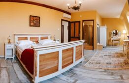 Conac de vânzare 7 camere cu bai proprii, cramă, ciubăr și potențial