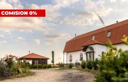 Conac de vânzare 7 camere cu bai proprii, cramă, ciubăr și potențial