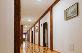 Conac de vânzare 7 camere cu bai proprii, cramă, ciubăr și potențial