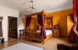 Conac de vânzare 7 camere cu bai proprii, cramă, ciubăr și potențial