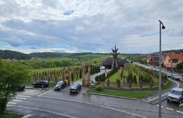 Apartament 4 camere, 80 mp, decomandat – Sf.Gheorghe