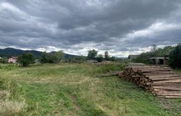 Proprietate industrială multifuncțională cu potențial fotovoltaic – Covasna