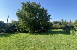 Teren de vânzare Ghidfalau - 190535TV | BLITZ Sfântu Gheorghe | Poza3