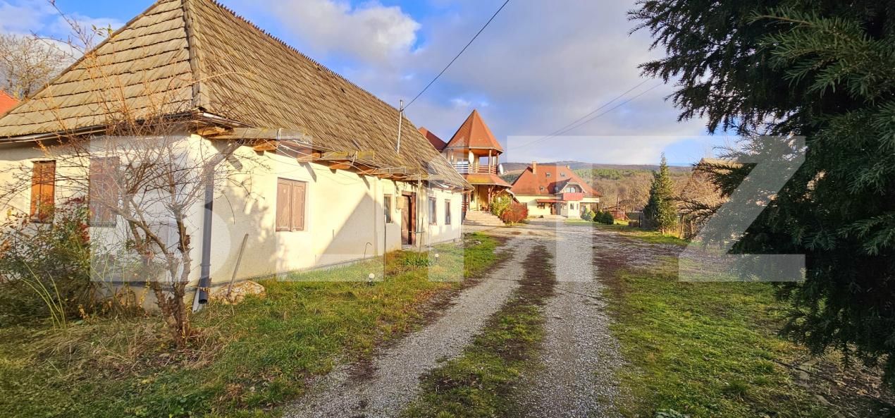 Casa de vânzare 16 camere Bicfalau - 174396CV | BLITZ Sfântu Gheorghe | Poza3