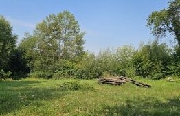 Teren cu casă veche de vânzare – Lisnău Vale, jud. Covasna 