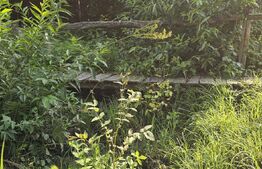 Teren cu casă veche de vânzare – Lisnău Vale, jud. Covasna 