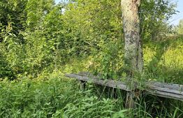 Teren cu casă veche de vânzare – Lisnău Vale, jud. Covasna 