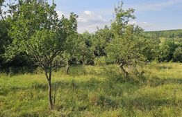 Teren cu casă veche de vânzare – Lisnău Vale, jud. Covasna 